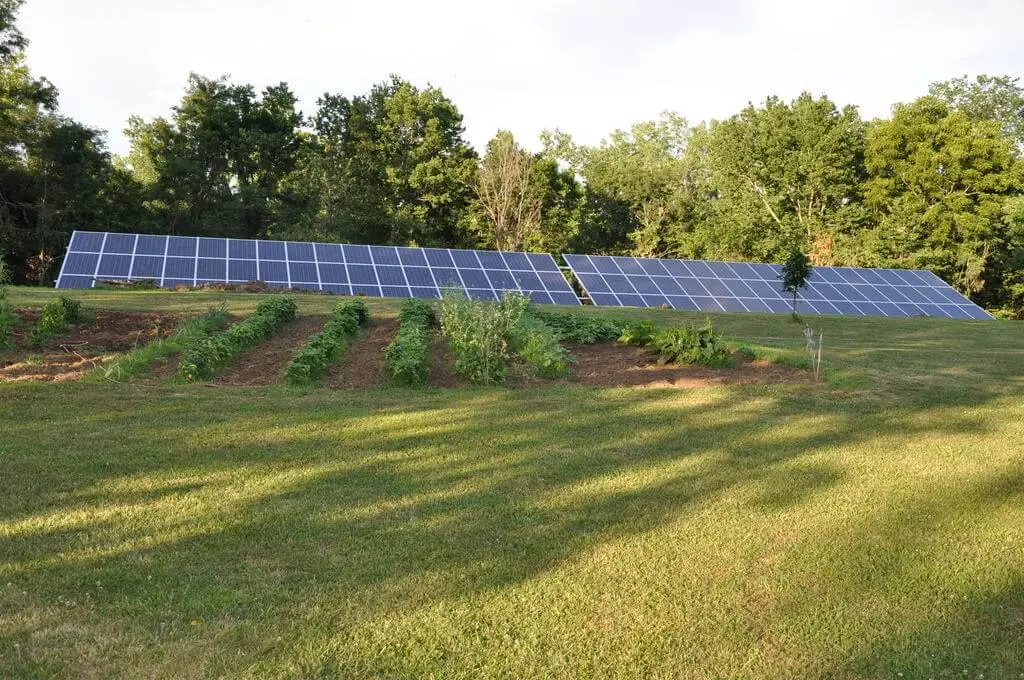 Solar panels in a grassy field.