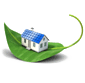 A small house on a green leaf.